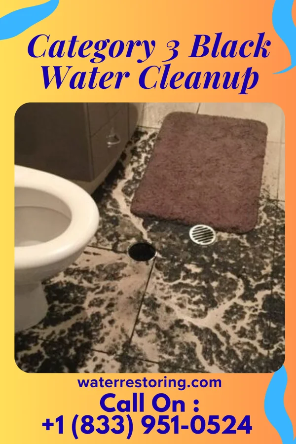 Category 3 Black Water Cleanup in Friendsville, PA