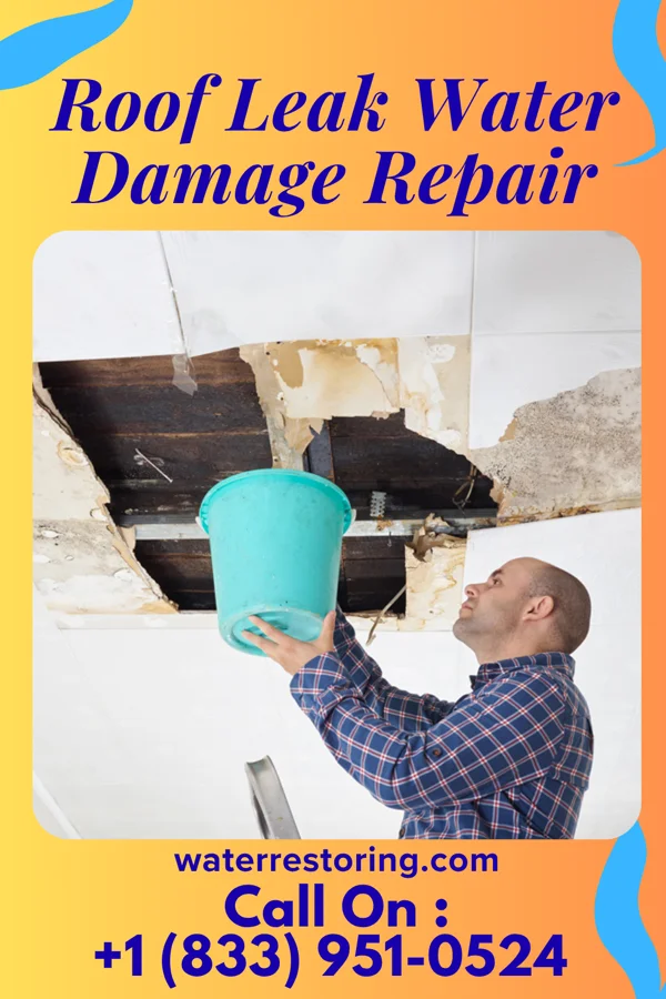 Roof Leak Water Damage Repair in Friendsville, PA